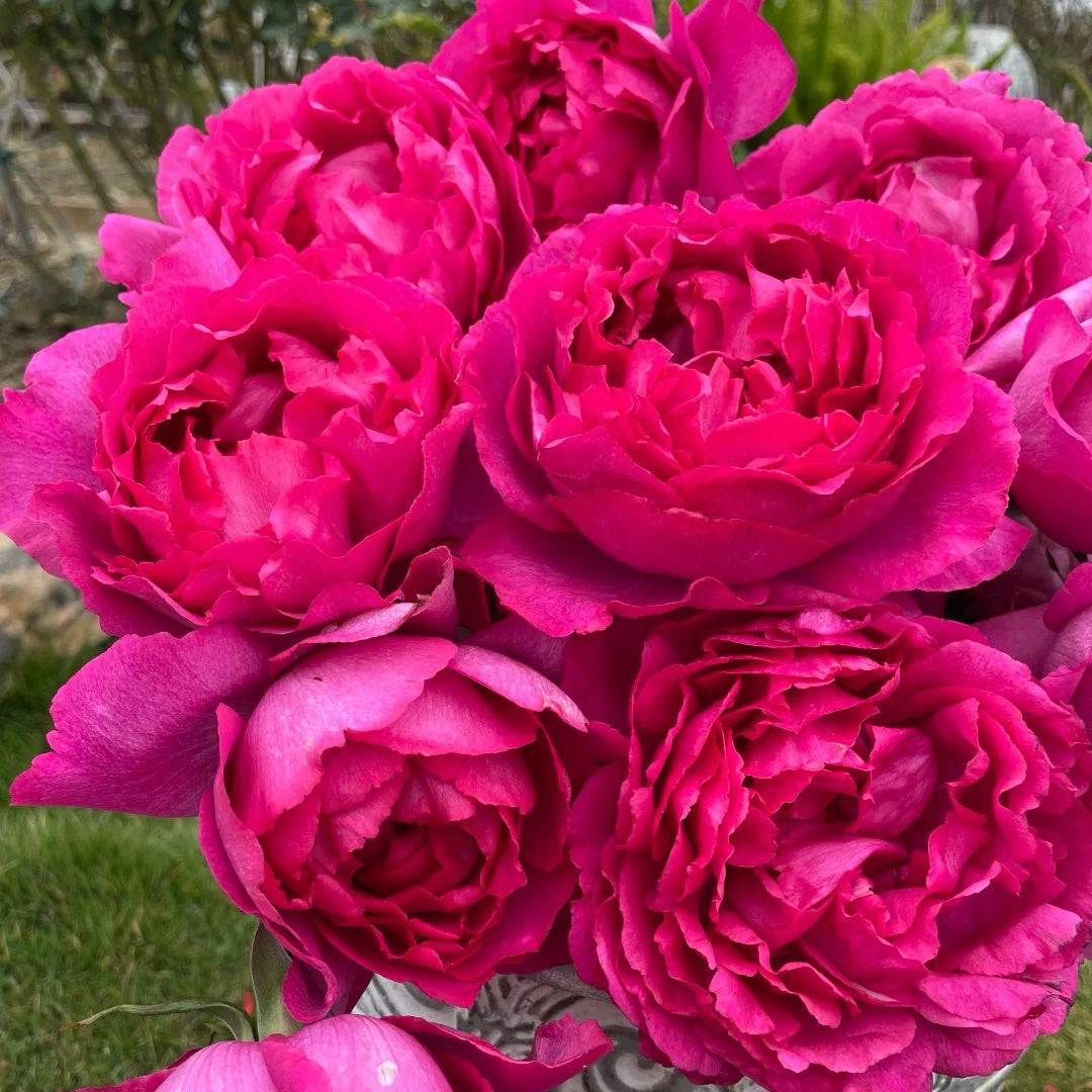 Rouge de Parfum