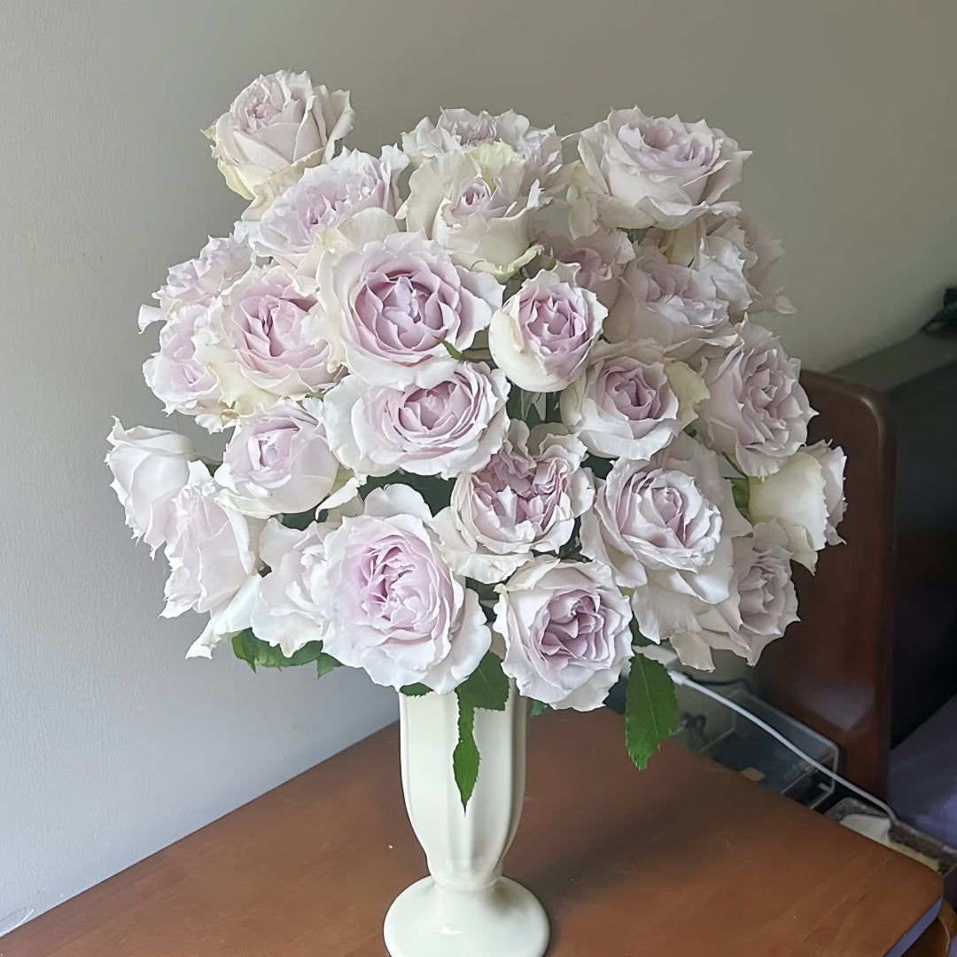 Saphiret Rose