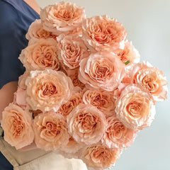 Shimmer rose