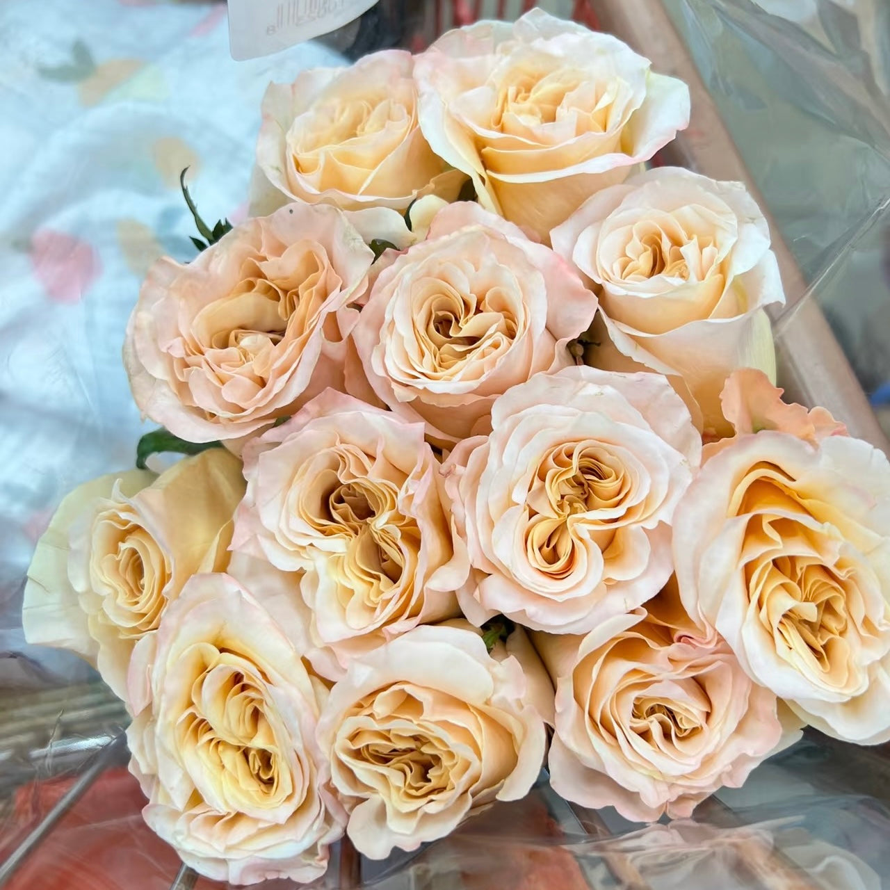 Shimmer rose-微光｜Germany Cut Rose – Ergongzy Roses
