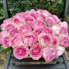 Silk Garment Rose