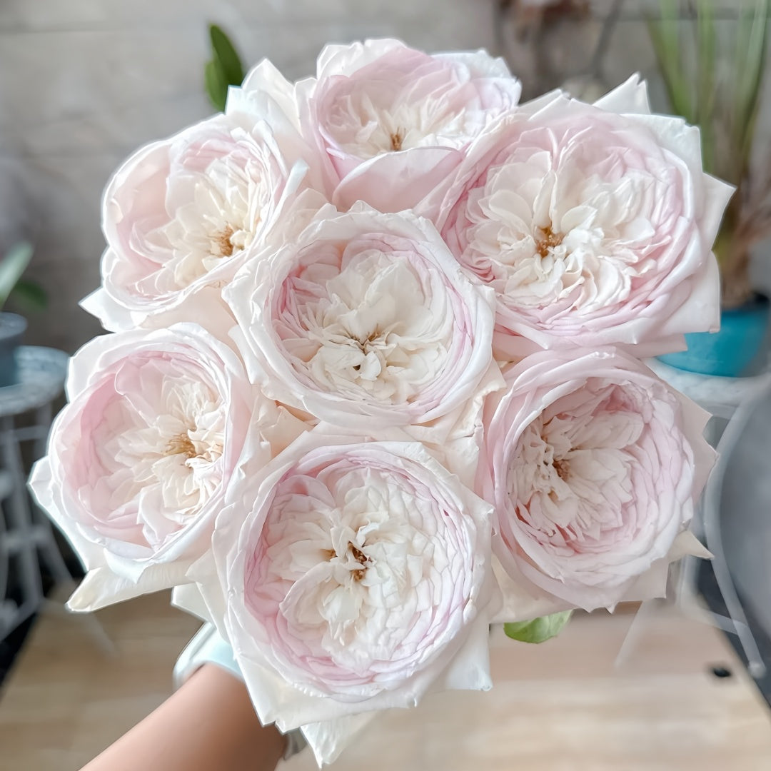 Special Bride Rose