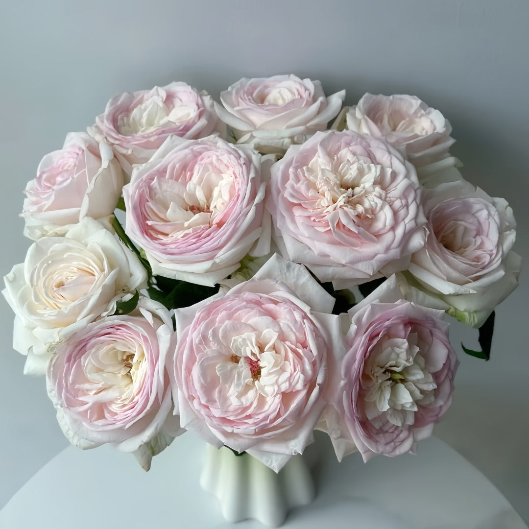 Special Bride Rose