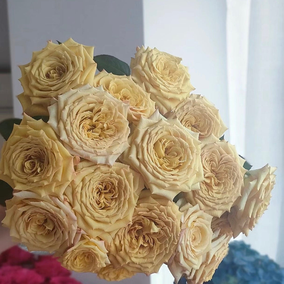 Cut Roses – Page 9 – Ergongzy Roses