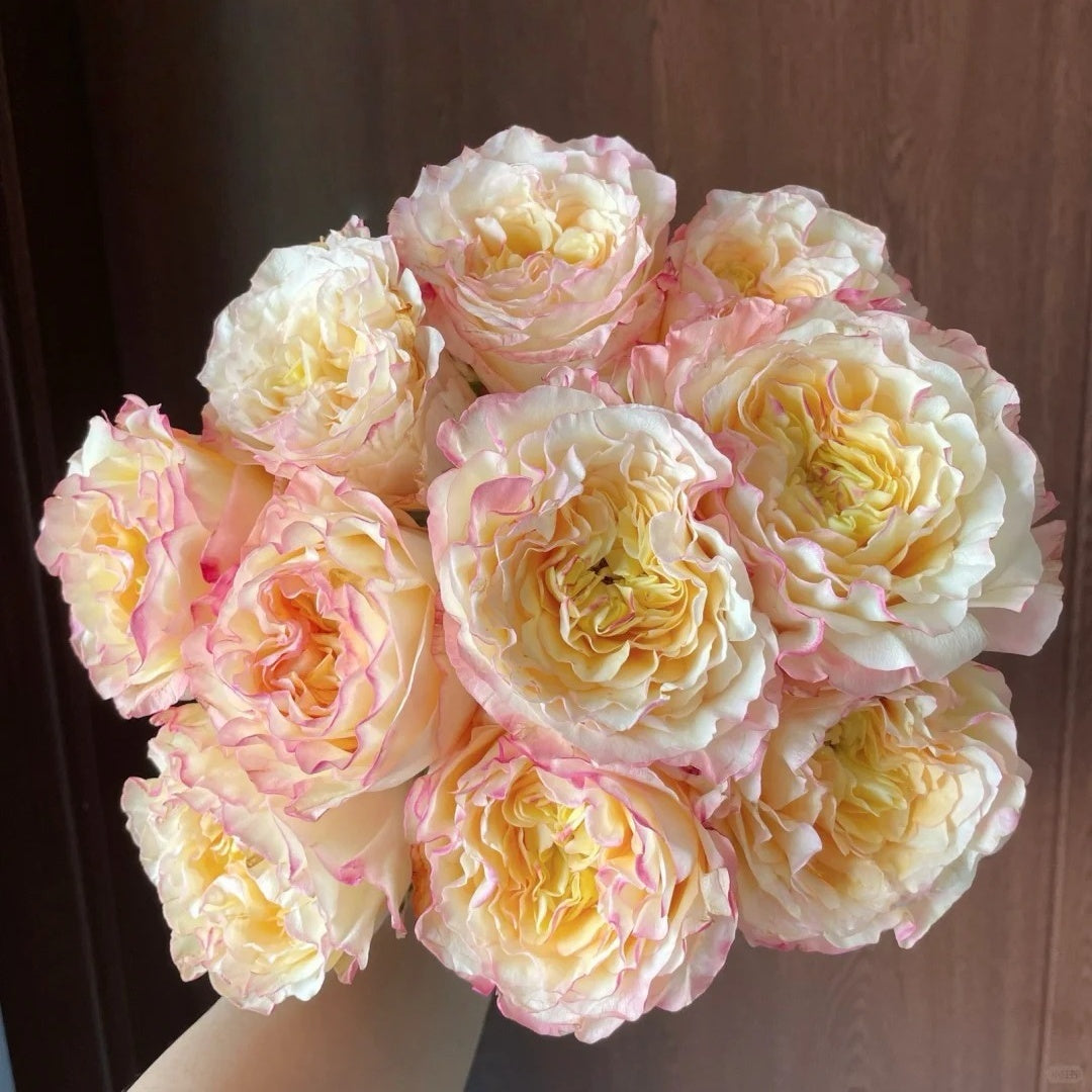 Stylist Rose