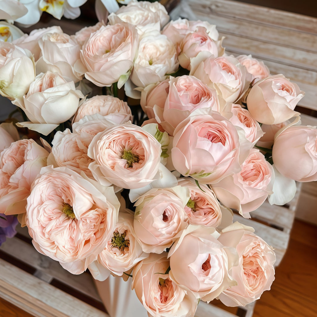 Sweet Diamond Rose