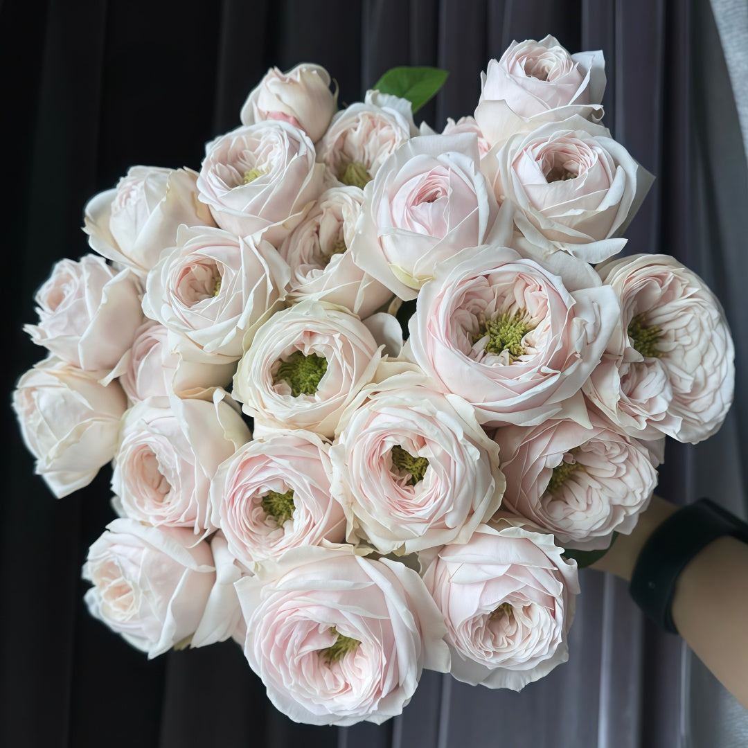 Sweet Diamond Rose
