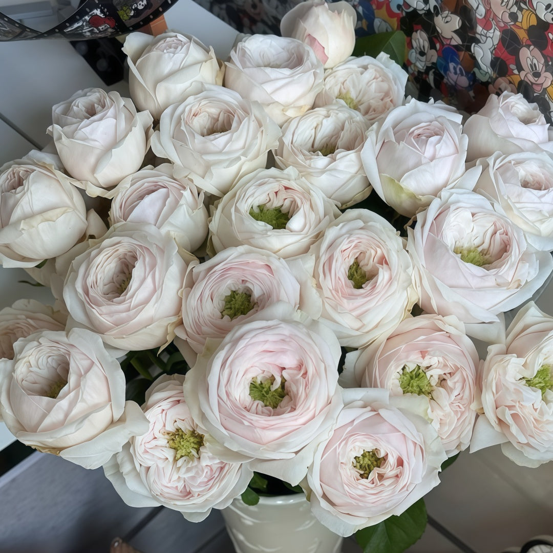Sweet Diamond Rose
