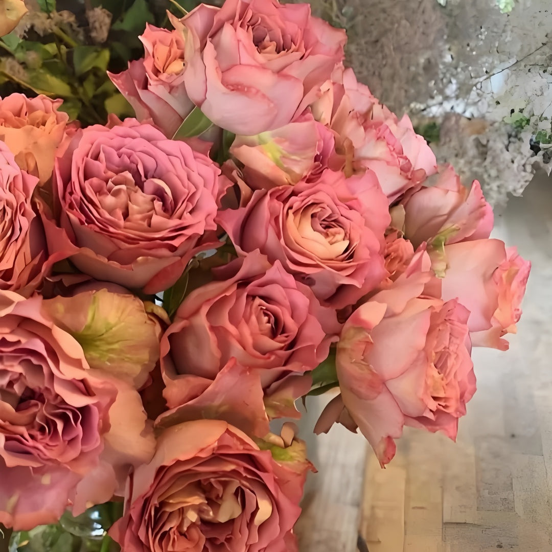 Thé nature Rose
