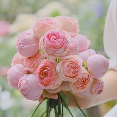 The first lady Rose