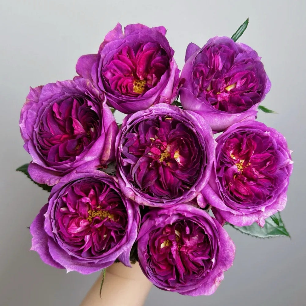 Thierry Marx Rose