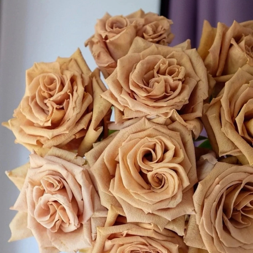 Toffee Rose