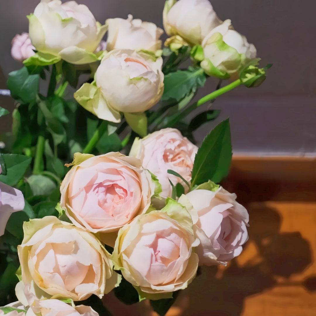 Unforgettable Rose