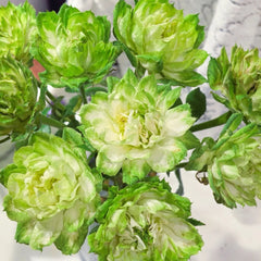 Veggie Rose