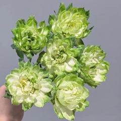 Veggie Rose