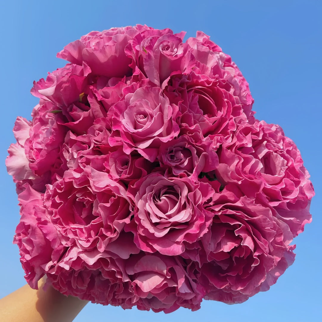 Velvety Twilight Rose