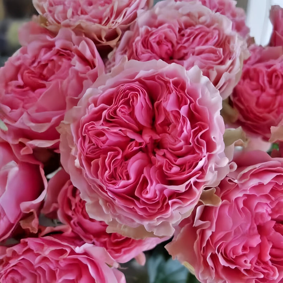 ☆ROSE☆ MING 37.04 Rose Gold