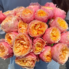 Vuvuzela Rose