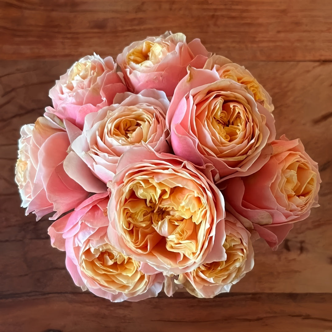 Vuvuzela Rose