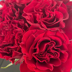 Wanted/Hearts Rose