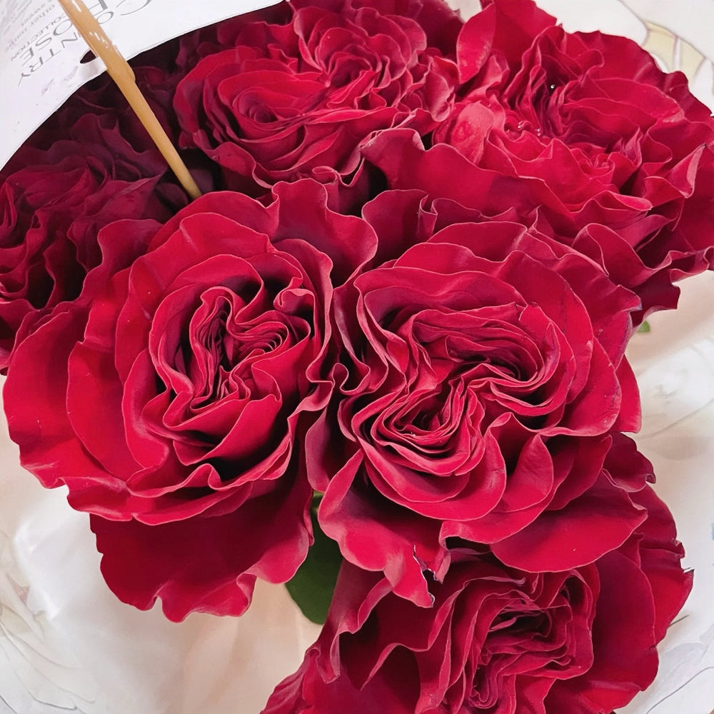 Wanted/Hearts Rose