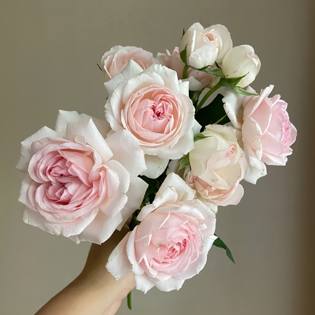 Wedding Box Rose