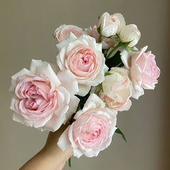 Wedding Box Rose