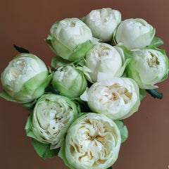 White Kahala Rose