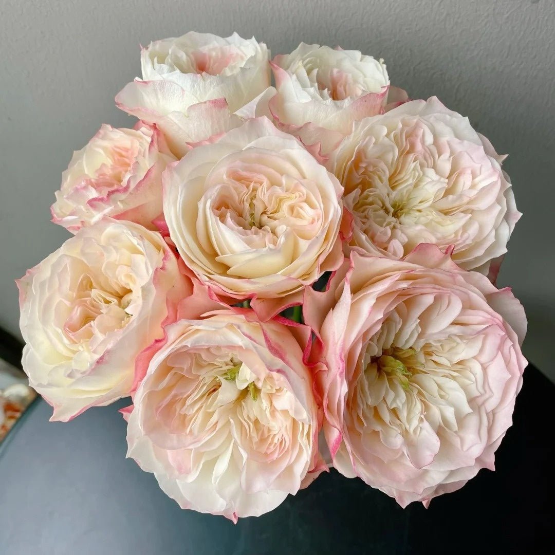 Xiaoliwo Rose