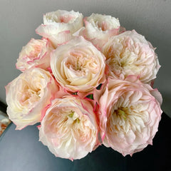 Xiaoliwo Rose