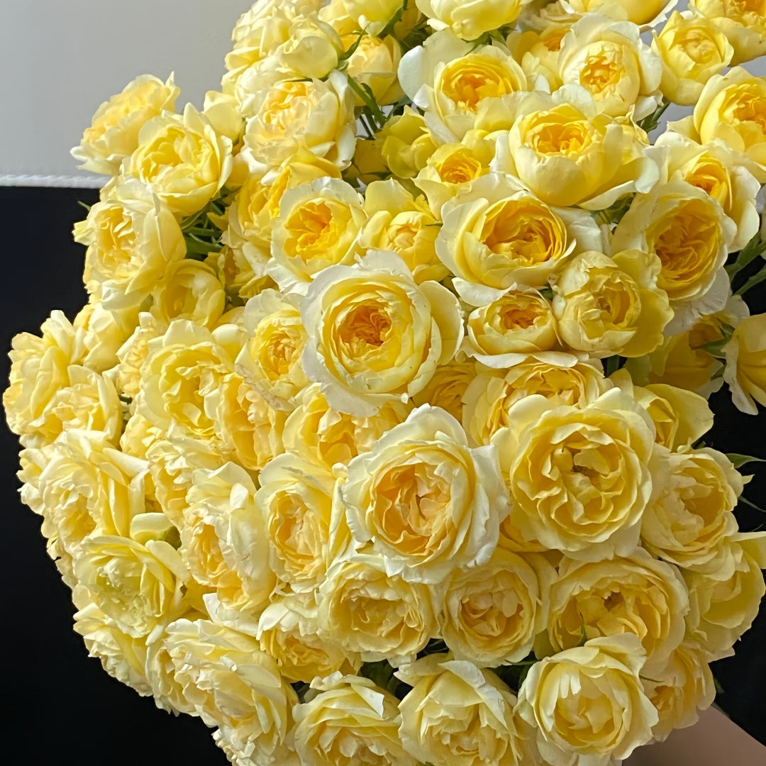 Yellow Juicy Terrazza Rose