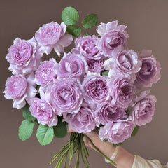 YinYin Qing Rose