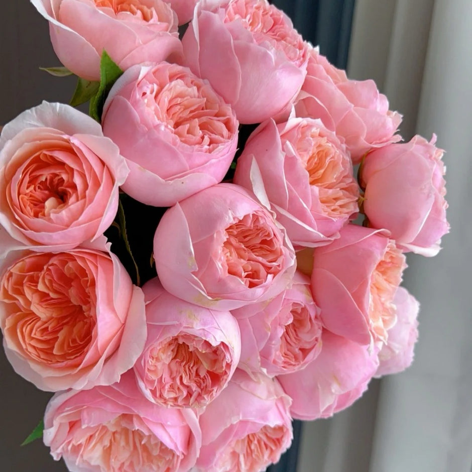 ひつじページ ROSE Japanese Roses – Ergongzy Roses