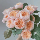 Chinese Julie. Wedding Cut Rose 明宫